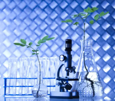 三農(nóng)日報(bào)|政策:鼓勵(lì)資本助推生態(tài)循環(huán)農(nóng)業(yè);農(nóng)村新電商模式正成為趨勢