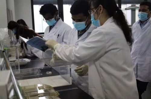 院系介紹2.0 風(fēng)采展示及微信公眾號(hào) 一