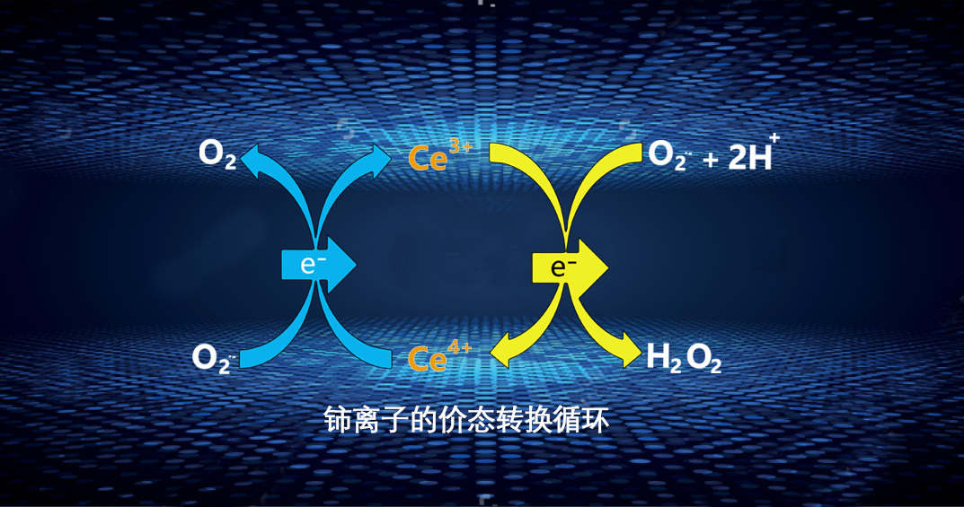 美妝行業(yè)迎來強(qiáng)監(jiān)管,金歲領(lǐng)跑稀土護(hù)膚科研新賽道-360化妝品網(wǎng)