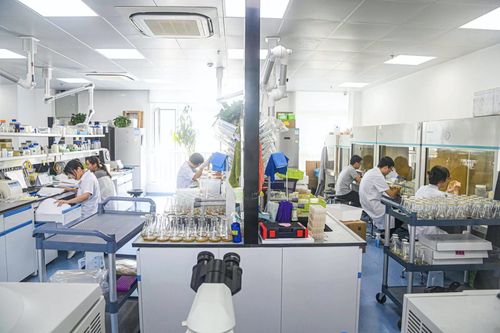 觀海新聞記者援藏日記88 我們獲獎了