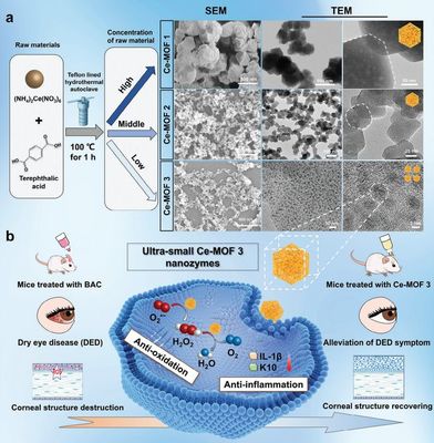 干眼治療新路徑!復旦團隊研發納米酶"刷"掉過量眼表活性氧