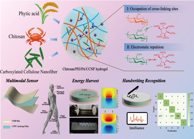 福建農(nóng)林大學(xué)黃彪教授團(tuán)隊(duì)在生物質(zhì)先進(jìn)材料研究與開發(fā)方面取得顯著進(jìn)展