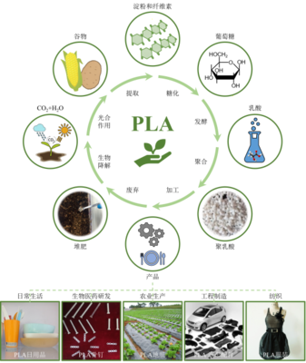 丁建勛 李鴻杰 楊佳臻(中國(guó)科學(xué)院長(zhǎng)春應(yīng)用化學(xué)研究所):新時(shí)代生物質(zhì)降解材料聚乳酸,助力綠色環(huán)保的&ldquo;未來之鑰&rdquo;_作品展示